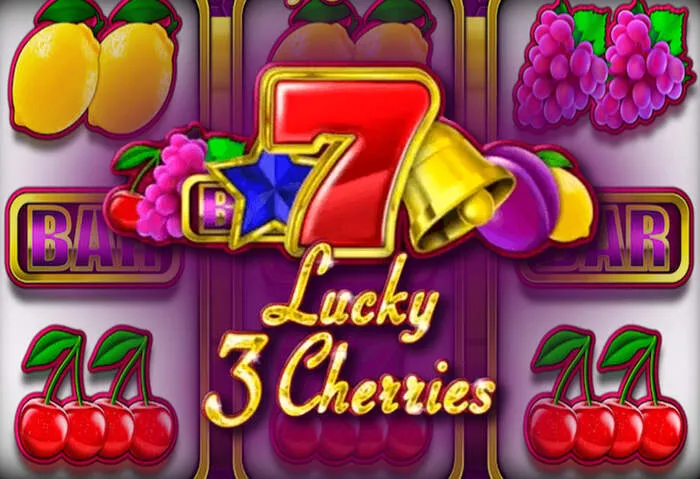 Profitez des offres de Bonus Mzansibet Casino imbattables.